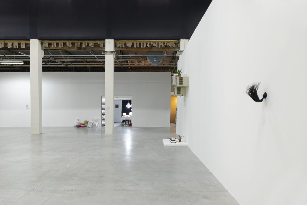 View of Mika Rottenberg’s exhibition, Palais de Tokyo (23.06 – 11.09.2016). Photo: Aurélien Mole.