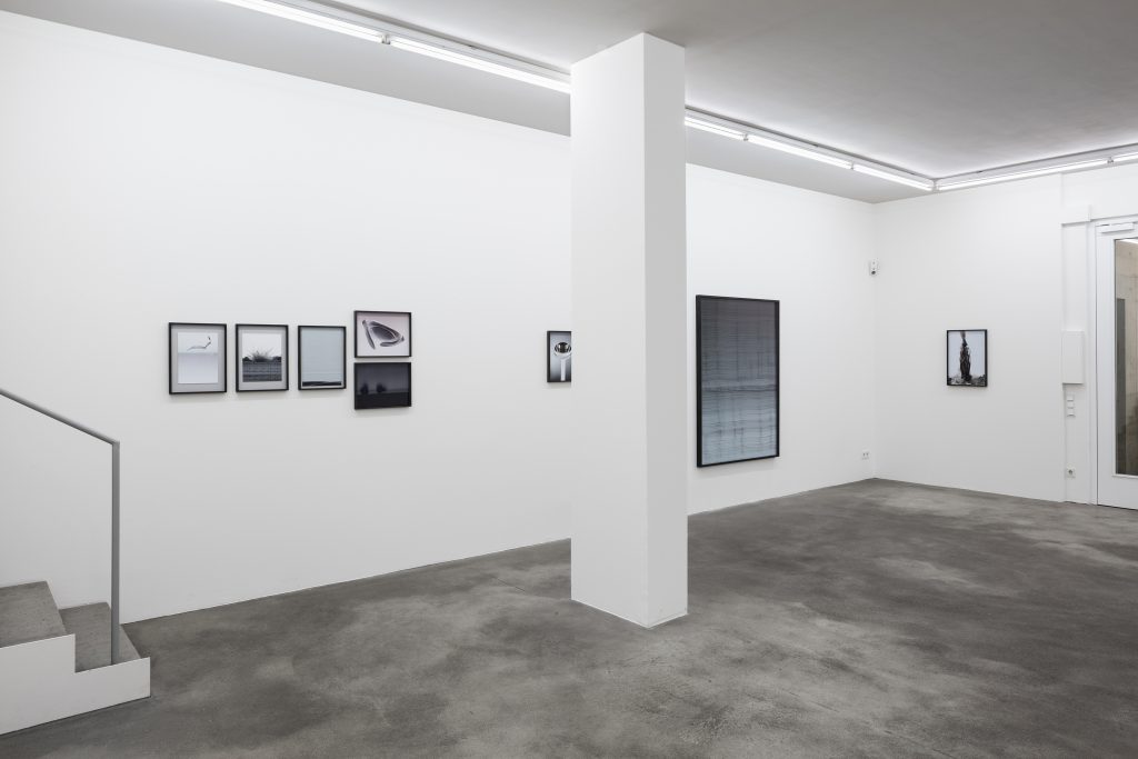Installation view, Louisa Clement, Anna Vogel, Moritz Wegwerth, Curated by Andreas Gursky, Sprüth Magers, Berlin September 17 - October 29, 2016